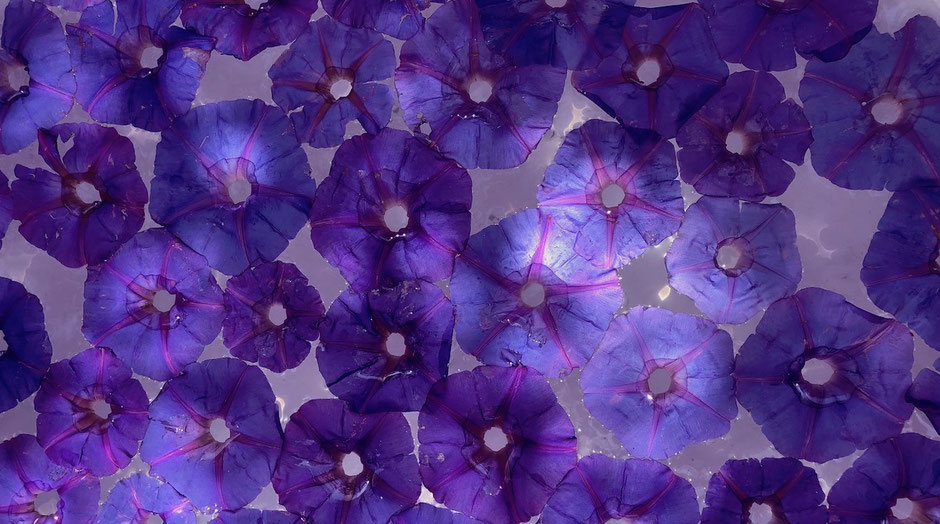 Stirn Chakra Infos