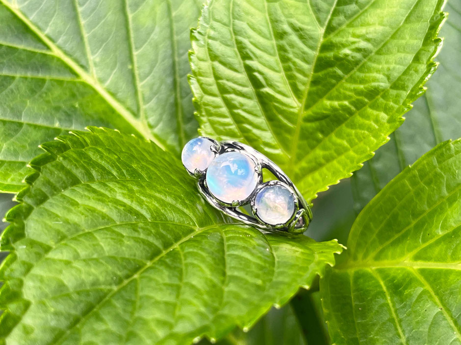 Handgefertigter Ring mit drei Regenbogen-Mondstein Cabochons in Silber gefasst