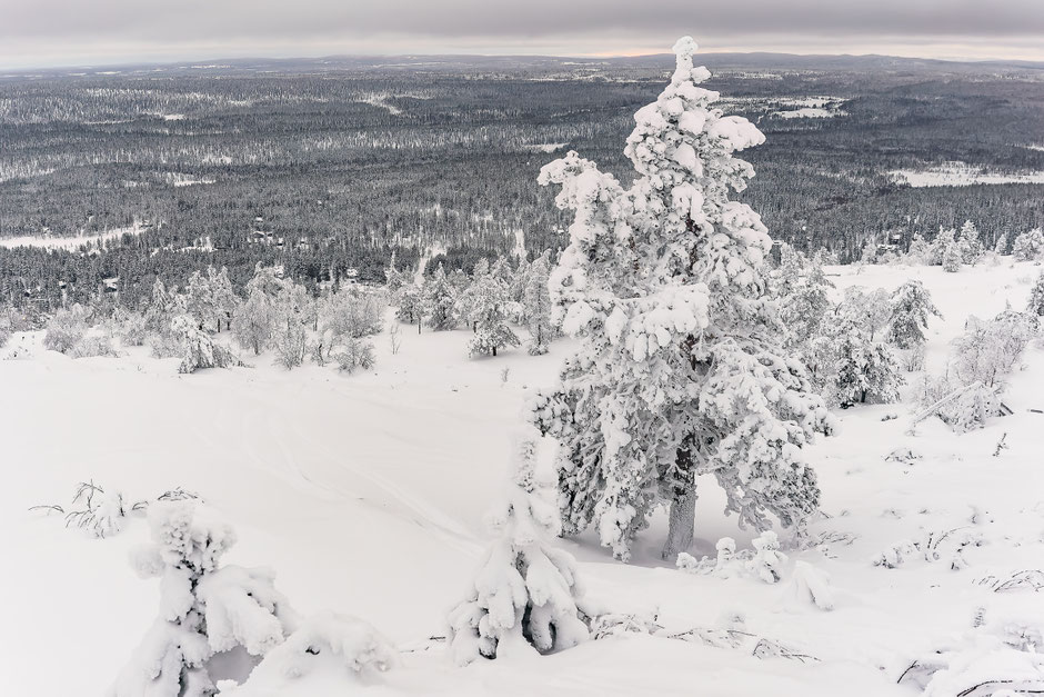 QUOI FAIRE A SALLA, EN LAPONIE, INFOS ET CONSEILS/SALLATUNTURI. www.missaventure.com  roadtrip, nature, and photography.