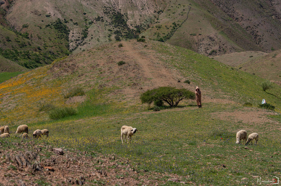 RAID BUGGY AU MAROC, une aventure de dingue au cœur de l'atlas. JOUR 1, d'Agafay aux contreforts de l'Atlas. missaventure, blog road trip, overland 4x4 et nature.