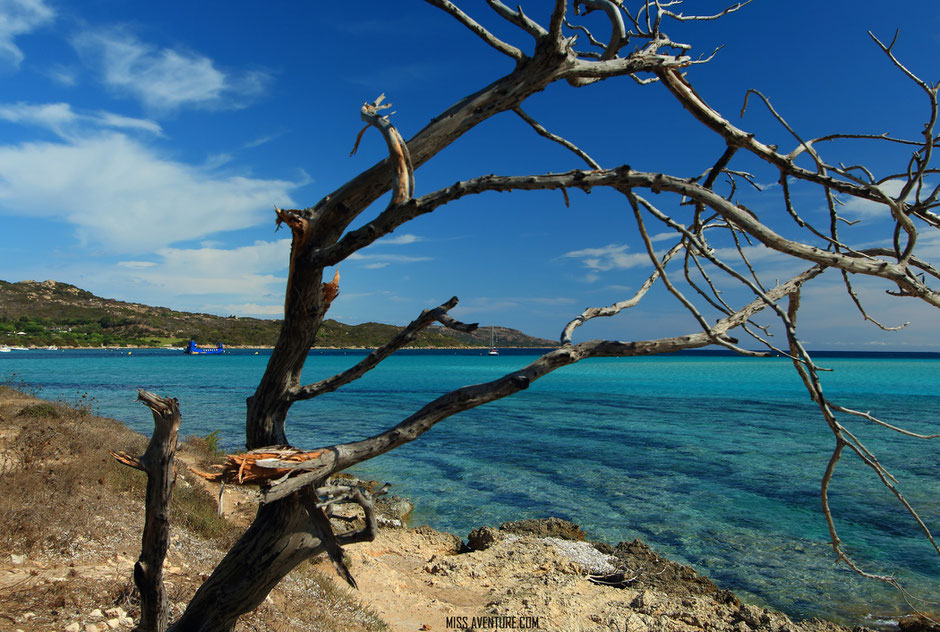 les plages du Sud, CORSE Piantarella. www.missaventure.com blog voyage d'aventures nature et photos, Road Trip Corse du Nord au Sud.