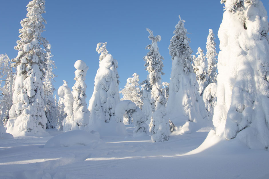 ROAD TRIP EN LAPONIE. 3 randos à faire à Ruka/Kuusamo et où se loger?. www.missaventure.com/ road-trip, nature et photographie