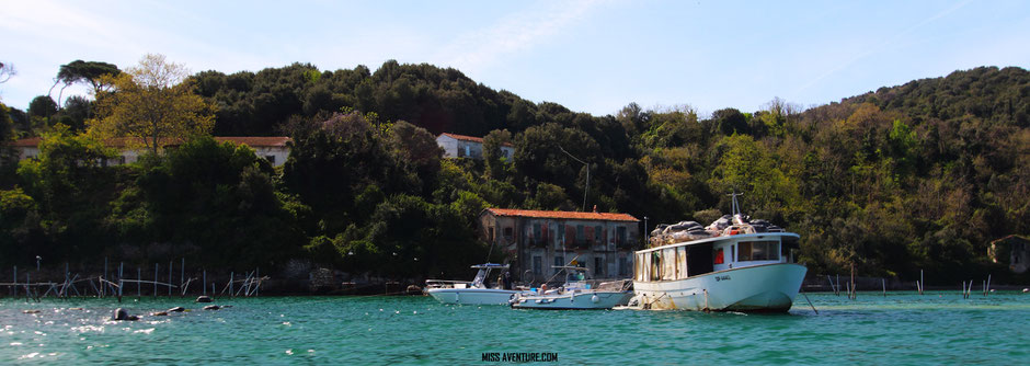 Portovenere et ses iles  (ITALIE) www.missaventure.com blog voyage d'aventures nature et photos