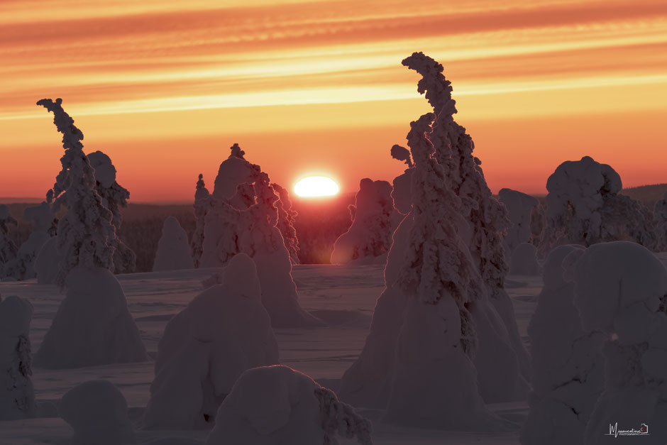 ROAD TRIP EN LAPONIE. Pourquoi partir en hiver?. Itinéraire, budget infos & aventures detaillées.