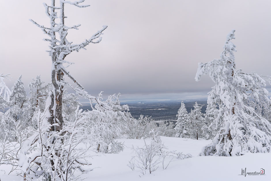 QUOI FAIRE A SALLA, EN LAPONIE, INFOS ET CONSEILS/SALLATUNTURI. www.missaventure.com  roadtrip, nature, and photography.