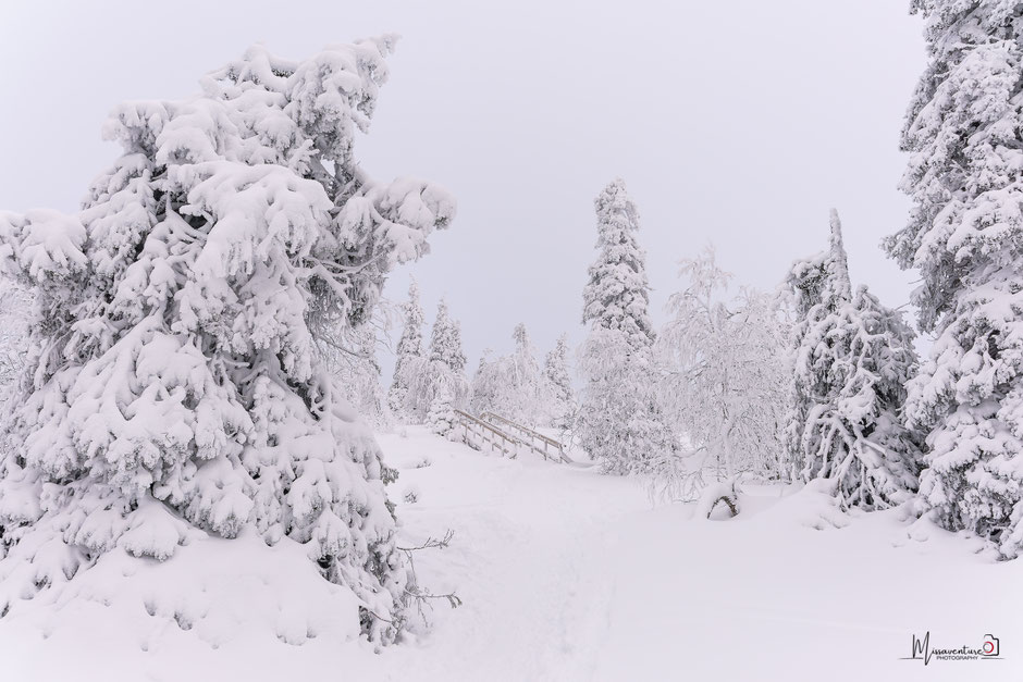 QUOI FAIRE A SALLA, EN LAPONIE, INFOS ET CONSEILS/TAIVAAN TAVOITTELIJAN. www.missaventure.com  roadtrip, nature, and photography.