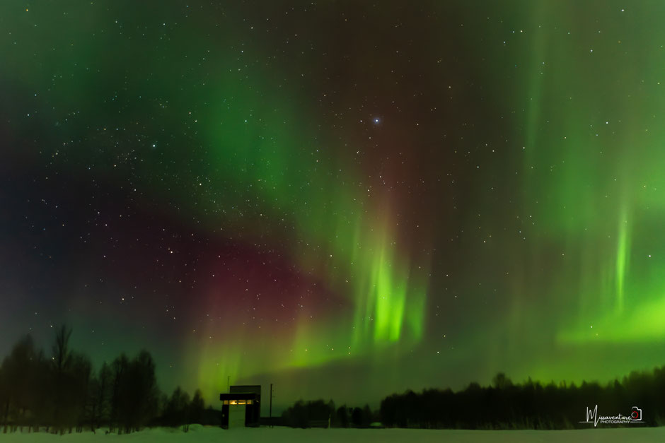 TOP 10 DES ACTIVITE A FAIRE EN LAPONIE/VOIR LES AURORES BOREALES, INFOS ET CONSEILS. www.missaventure.com  roadtrip, outdoor adventures and photography