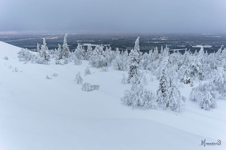 QUOI FAIRE A SALLA, EN LAPONIE, INFOS ET CONSEILS/TAIVAAN TAVOITTELIJAN. www.missaventure.com  roadtrip, nature, and photography.