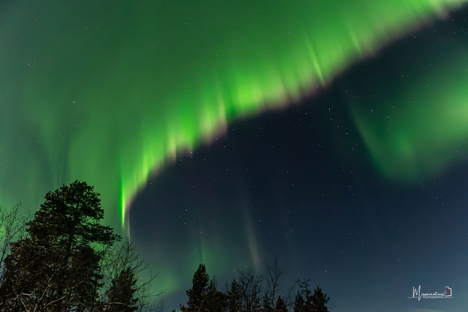 TOP 10 DES ACTIVITE A FAIRE EN LAPONIE/VOIR LES AURORES BOREALES, INFOS ET CONSEILS. www.missaventure.com  roadtrip, outdoor adventures and photography