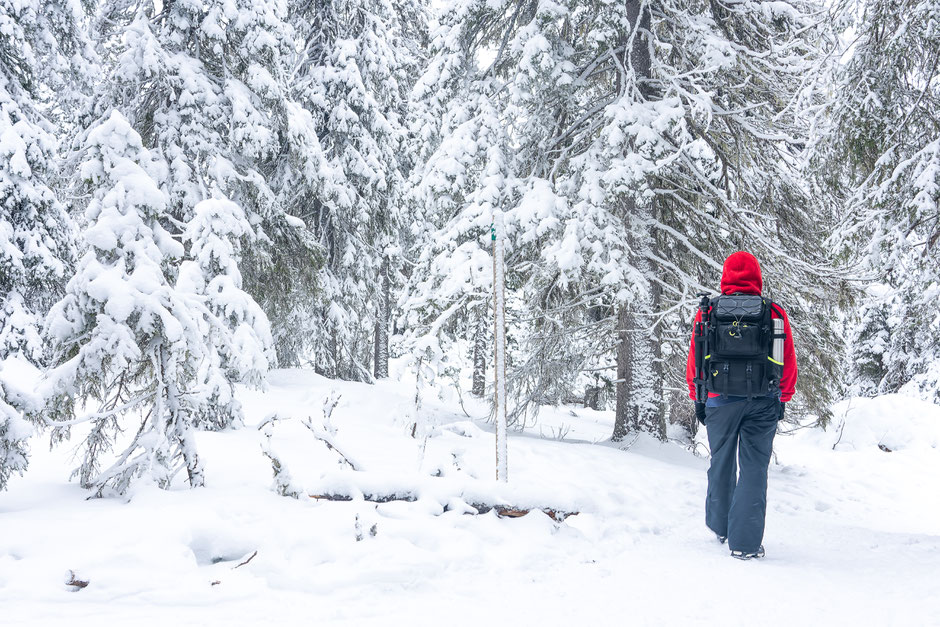 ROAD TRIP EN LAPONIE. 3 randos à faire à Ruka/Kuusamo et où se loger?. www.missaventure.com/ road-trip, nature et photographie