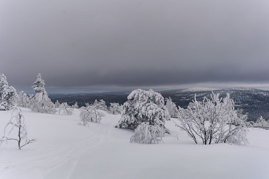 QUOI FAIRE A SALLA, EN LAPONIE, INFOS ET CONSEILS/SALLATUNTURI. www.missaventure.com  roadtrip, nature, and photography.