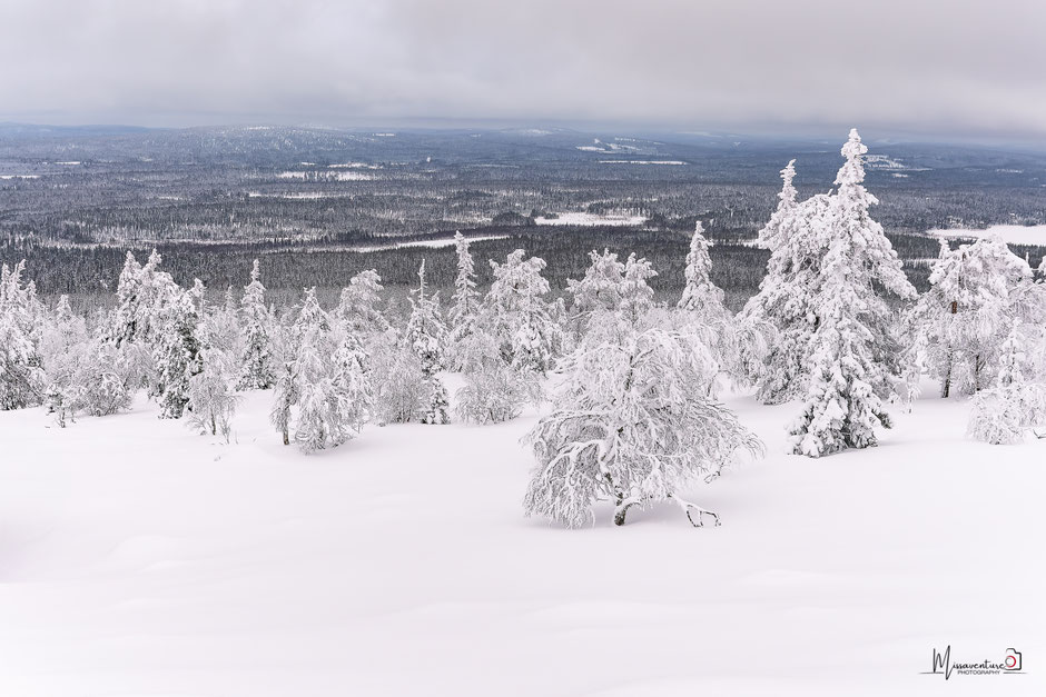 QUOI FAIRE A SALLA, EN LAPONIE, INFOS ET CONSEILS/TAIVAAN TAVOITTELIJAN. www.missaventure.com  roadtrip, nature, and photography.