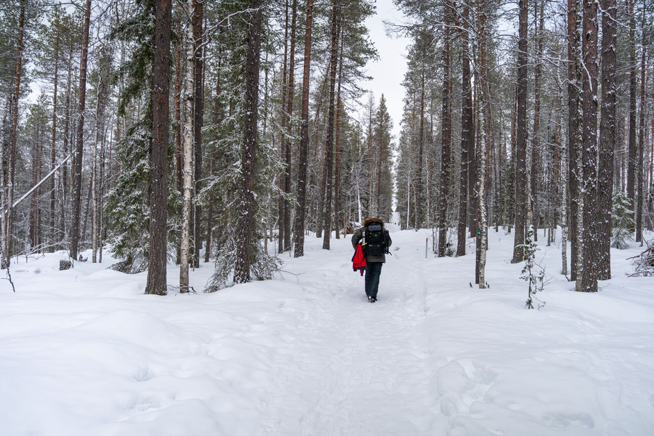 ROAD TRIP EN LAPONIE. 3 randos à faire à Ruka/Kuusamo et où se loger?. www.missaventure.com/ road-trip, nature et photographie