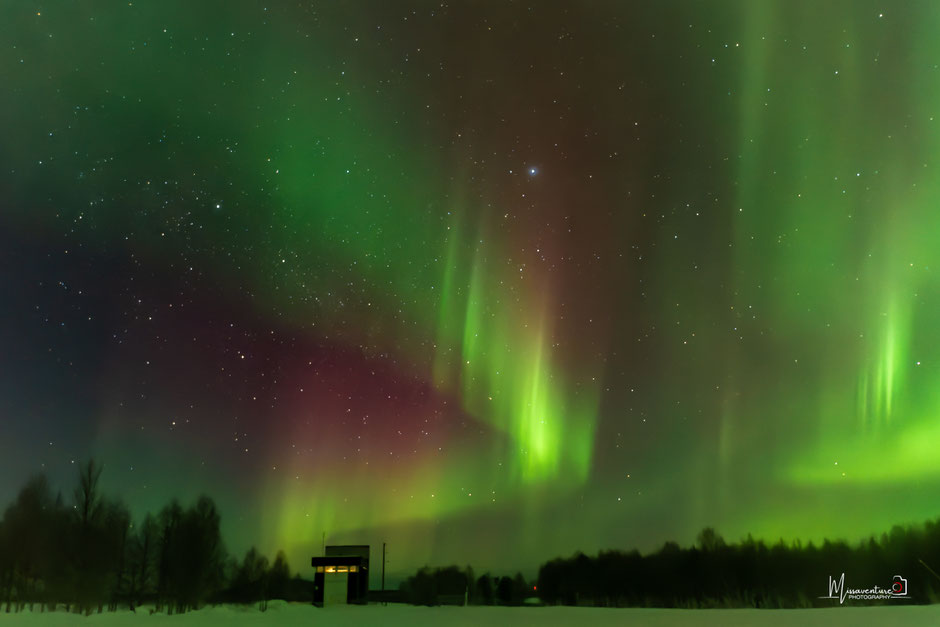 QUOI FAIRE A SALLA, EN LAPONIE, INFOS ET CONSEILS/CHASSER LES AURORES BOREALES. www.missaventure.com  roadtrip, nature, and photography.