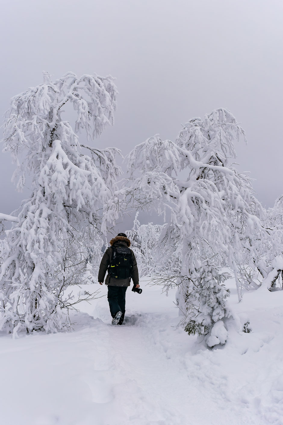 QUOI FAIRE A SALLA, EN LAPONIE, INFOS ET CONSEILS/TAIVAAN TAVOITTELIJAN. www.missaventure.com  roadtrip, nature, and photography.