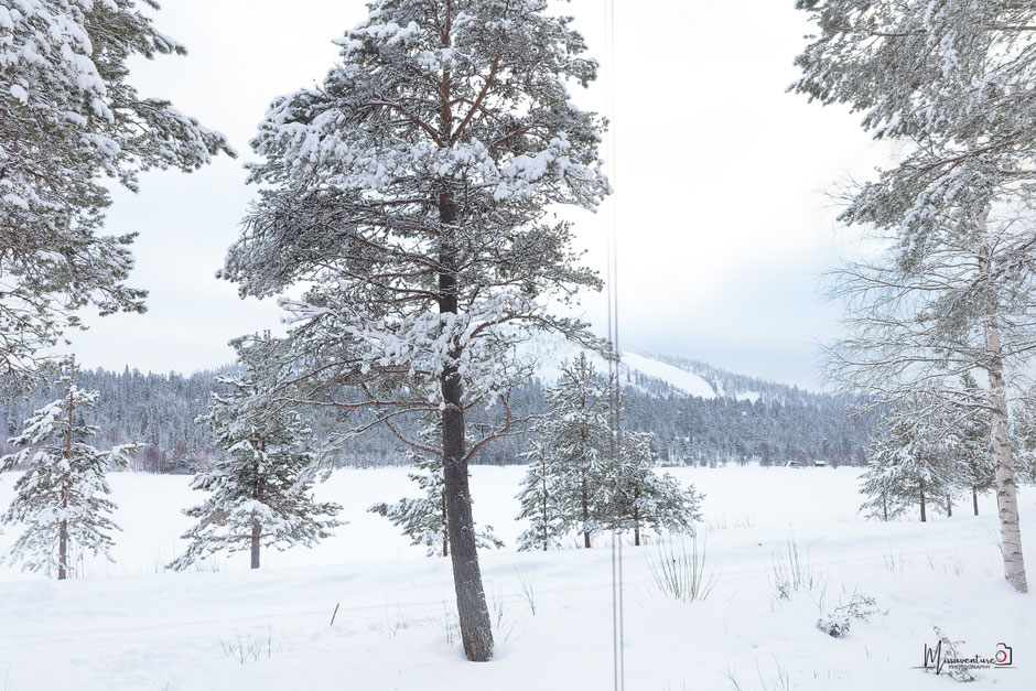 QUOI FAIRE A SALLA, EN LAPONIE, INFOS ET CONSEILS/DORMIR DANS UN LOGEMENT INSOLITE. www.missaventure.com  roadtrip, nature, and photography.