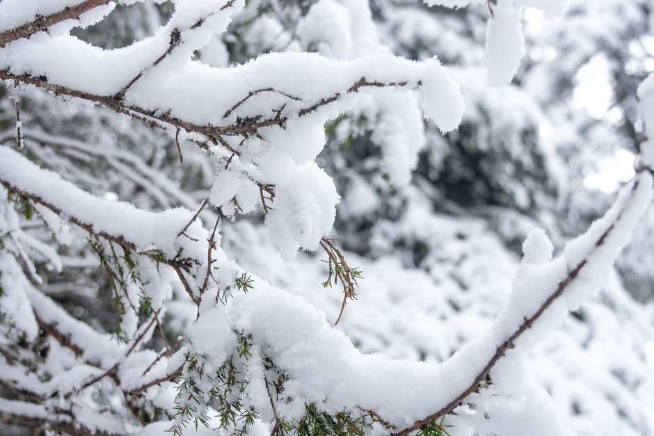 ROAD TRIP EN LAPONIE. 3 randos à faire à Ruka/Kuusamo et où se loger?. www.missaventure.com/ road-trip, nature et photographie