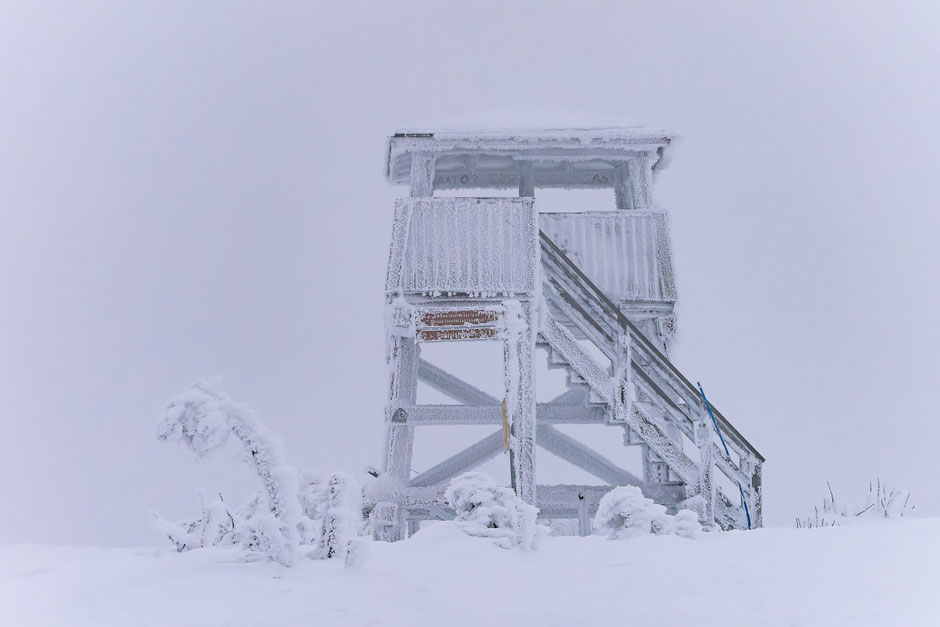 QUOI FAIRE A SALLA, EN LAPONIE, INFOS ET CONSEILS/TAIVAAN TAVOITTELIJAN. www.missaventure.com  roadtrip, nature, and photography.