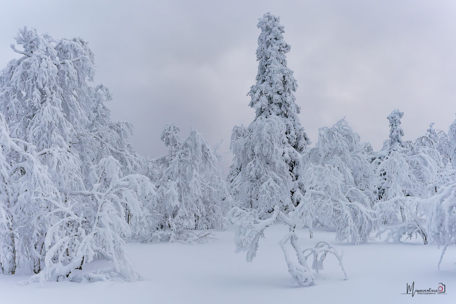 TOP 10 DES ACTIVITE A FAIRE EN LAPONIE/RANDONNER EN LAPONIE, INFOS ET CONSEILS. www.missaventure.com  roadtrip, outdoor adventures and photography.