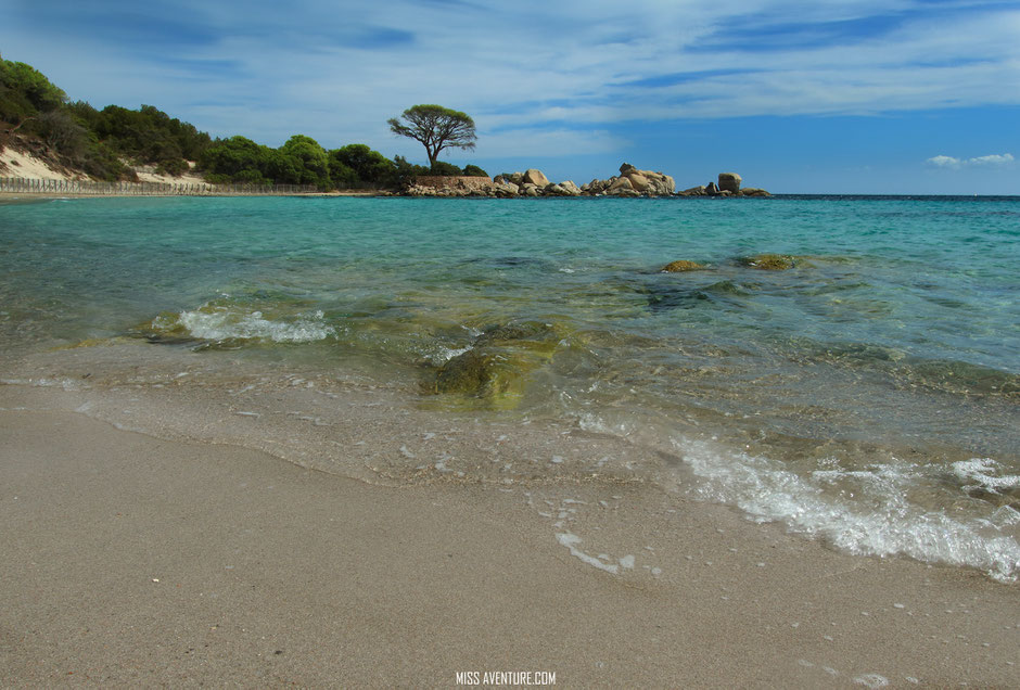 les plages du Sud, CORSE Palombaggia. www.missaventure.com blog voyage d'aventures nature et photos, Road Trip Corse du Nord au Sud.