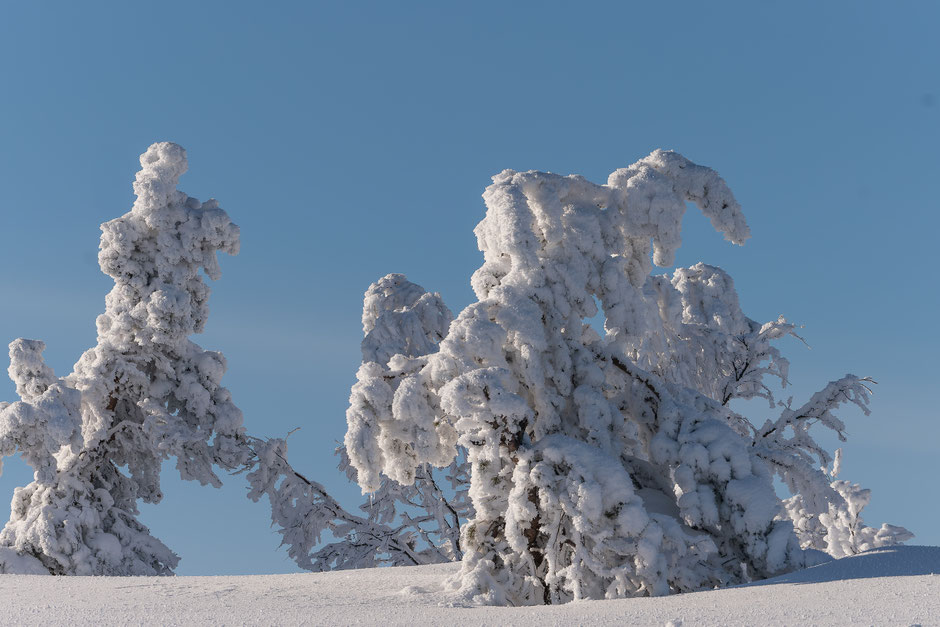 TOP 10 DES ACTIVITE A FAIRE EN LAPONIE/SKIER EN LAPONIE, INFOS ET CONSEILS. www.missaventure.com  roadtrip, outdoor adventures and photography.