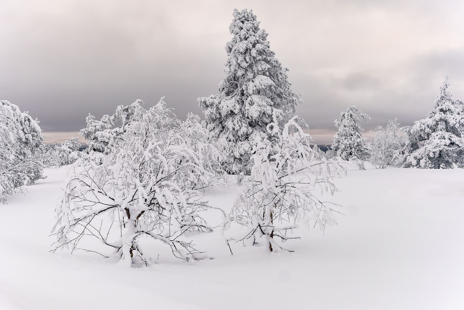 QUOI FAIRE A SALLA, EN LAPONIE, INFOS ET CONSEILS/SALLATUNTURI. www.missaventure.com  roadtrip, nature, and photography.