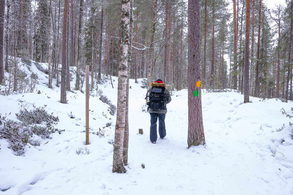 ROAD TRIP EN LAPONIE. 3 randos à faire à Ruka/Kuusamo et où se loger?. www.missaventure.com/ road-trip, nature et photographie