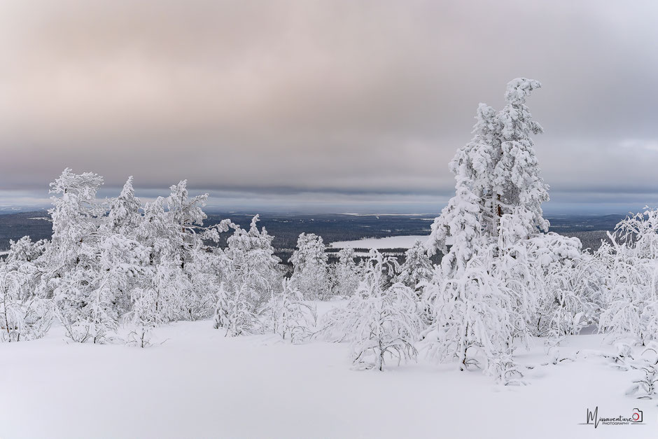 TOP 10 DES ACTIVITE A FAIRE EN LAPONIE/RANDONNER EN LAPONIE, INFOS ET CONSEILS. www.missaventure.com  roadtrip, outdoor adventures and photography.