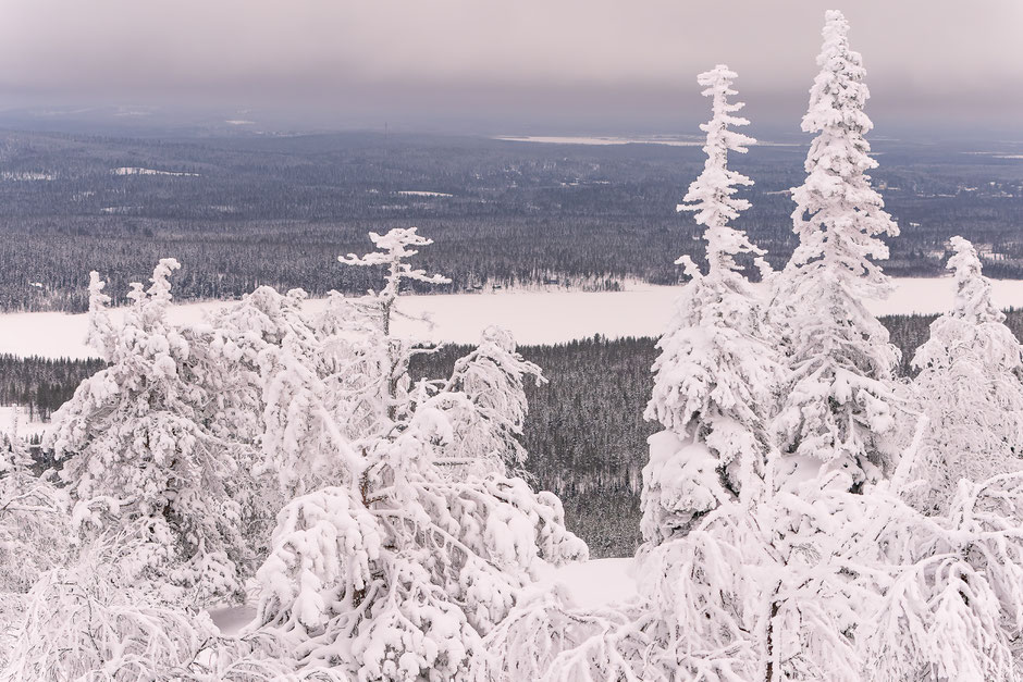 QUOI FAIRE A SALLA, EN LAPONIE, INFOS ET CONSEILS/TAIVAAN TAVOITTELIJAN. www.missaventure.com  roadtrip, nature, and photography.