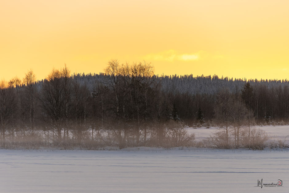 Les lumières d'hiver.