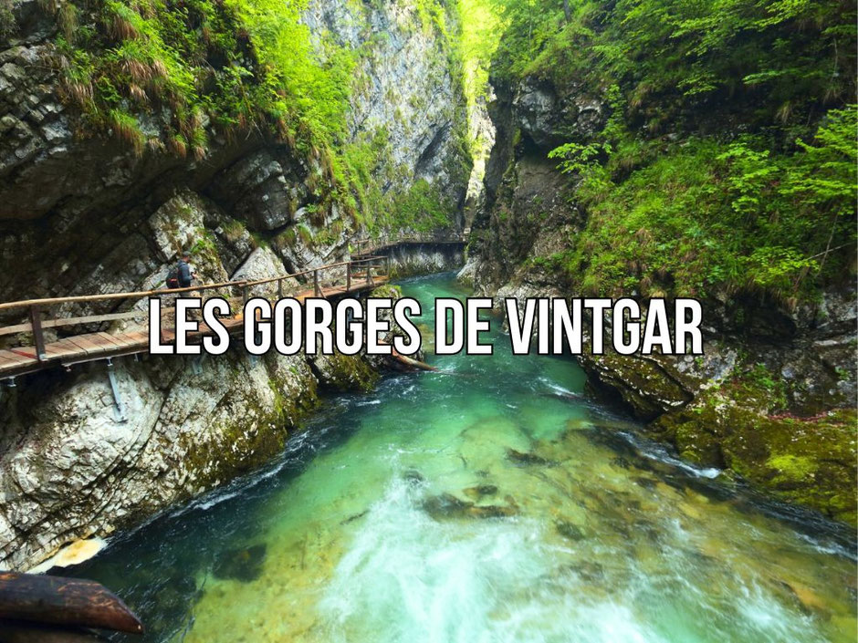 ROAD TRIP EN SLOVENIE. Gorges de Vintgar, Infos, budget itinéraire.