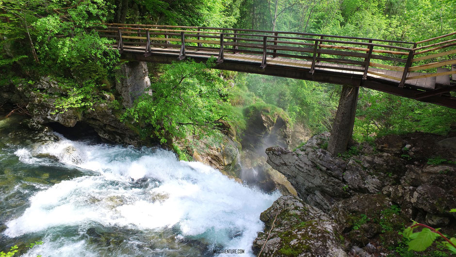 Visite des gorges de Vintgar, SLOVENIE. road trip en Slovenie;  www.missaventure.com blog voyage d'aventures, nature et photos