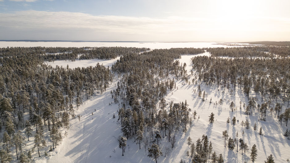 ROAD TRIP EN LAPONIE. TOP 10 DES ACTIVITE A FAIRE EN LAPONIE, MOTONEIGE AVEC OU SANS GUIDE, INFOS ET CONSEILS. www.missaventure.com  roadtrip, outdoor adventures and photography.