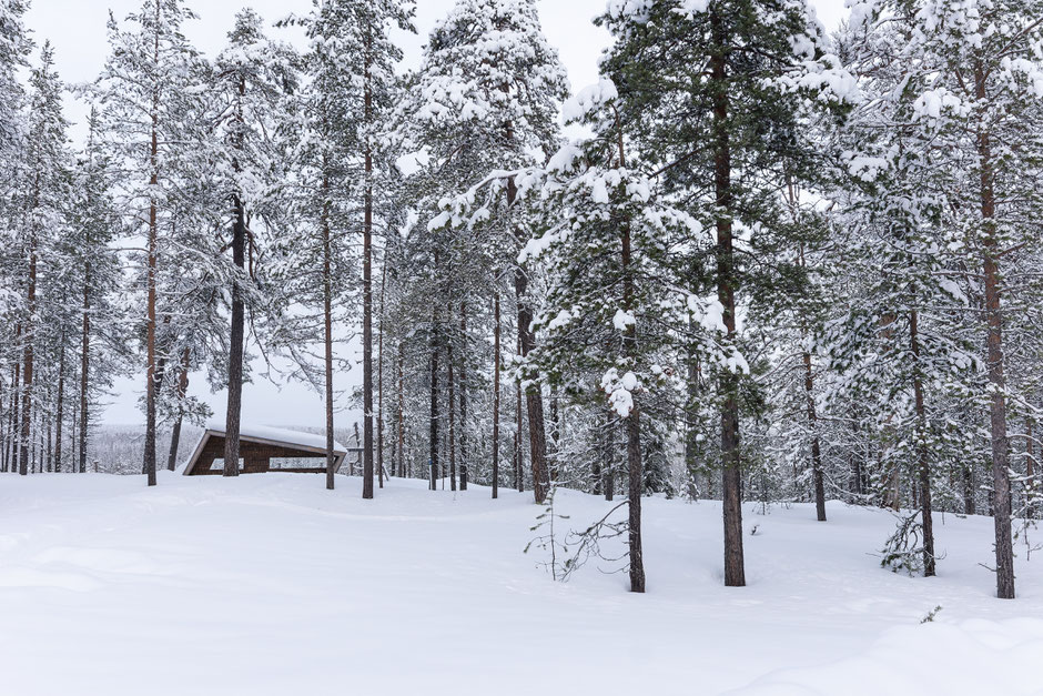 QUOI FAIRE A SALLA, EN LAPONIE, INFOS ET CONSEILS/KAUNISHARJU. www.missaventure.com  roadtrip, nature, and photography.
