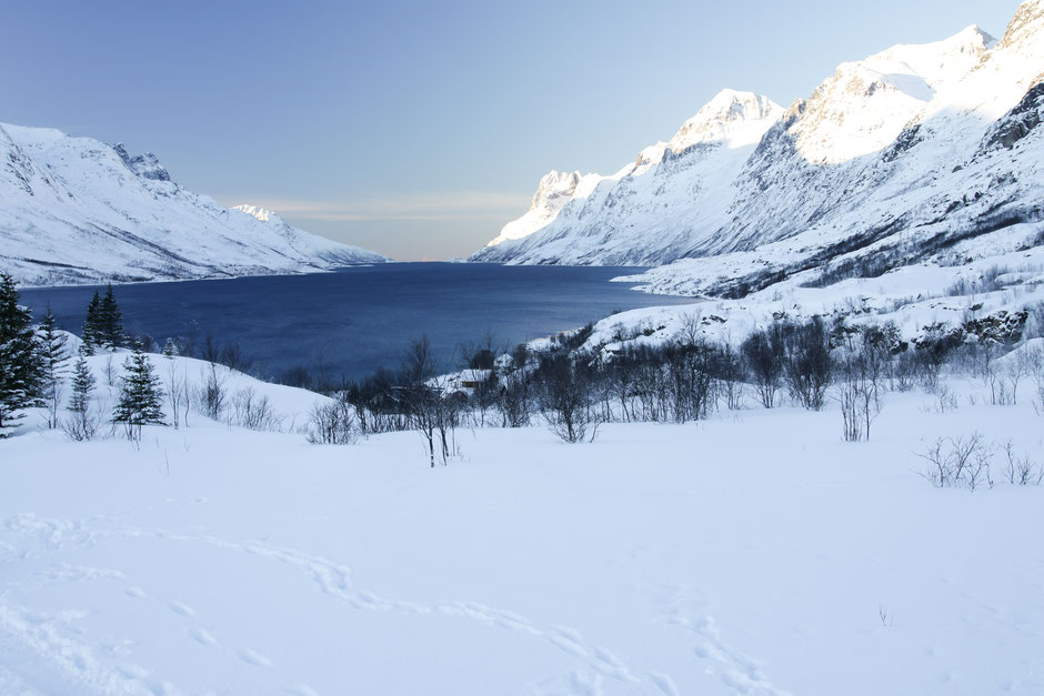 Le fjord d'Ersfjordbotn.