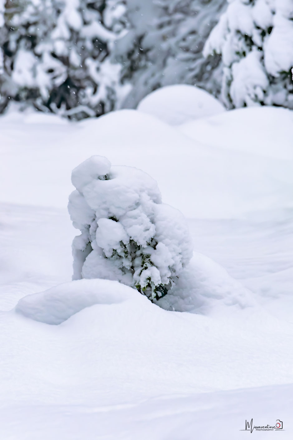 ROAD TRIP EN LAPONIE. 3 randos à faire à Ruka/Kuusamo et où se loger?. www.missaventure.com/ road-trip, nature et photographie