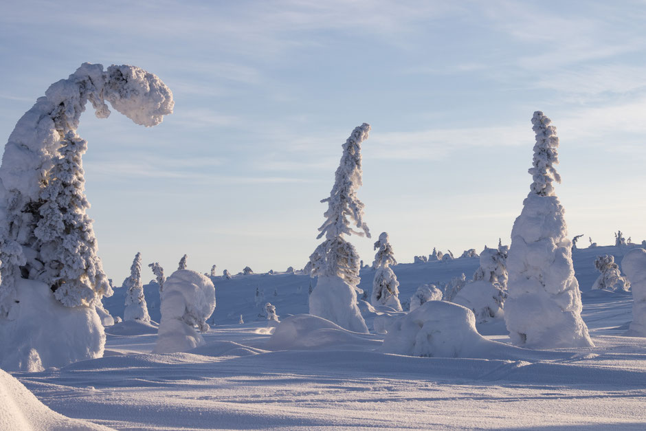 TOP 10 DES ACTIVITE A FAIRE EN LAPONIE/RANDONNER EN LAPONIE, INFOS ET CONSEILS. www.missaventure.com  roadtrip, outdoor adventures and photography.