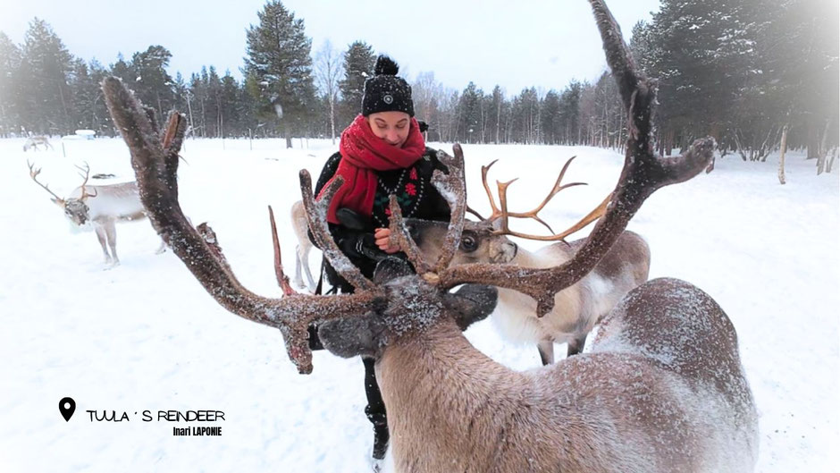 ROAD TRIP EN LAPONIE. TOP 10 DES ACTIVITE A FAIRE EN LAPONIE, rencontre avec les rennes. www.missaventure.com  roadtrip, nature, outdoor and photographie