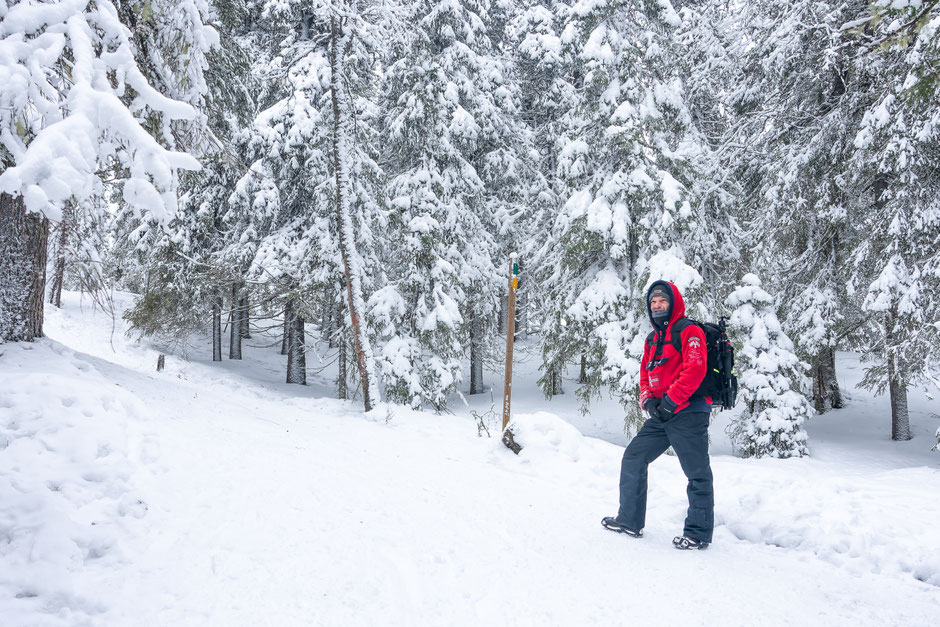 ROAD TRIP EN LAPONIE. 3 randos à faire à Ruka/Kuusamo et où se loger?. www.missaventure.com/ road-trip, nature et photographie