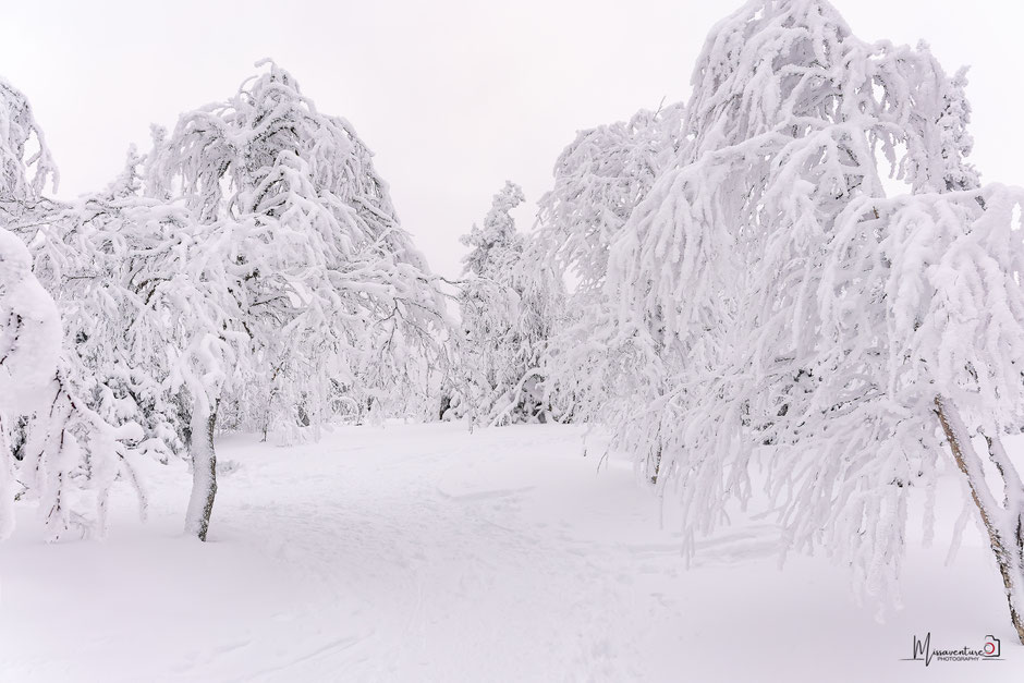 QUOI FAIRE A SALLA, EN LAPONIE, INFOS ET CONSEILS/TAIVAAN TAVOITTELIJAN. www.missaventure.com  roadtrip, nature, and photography.