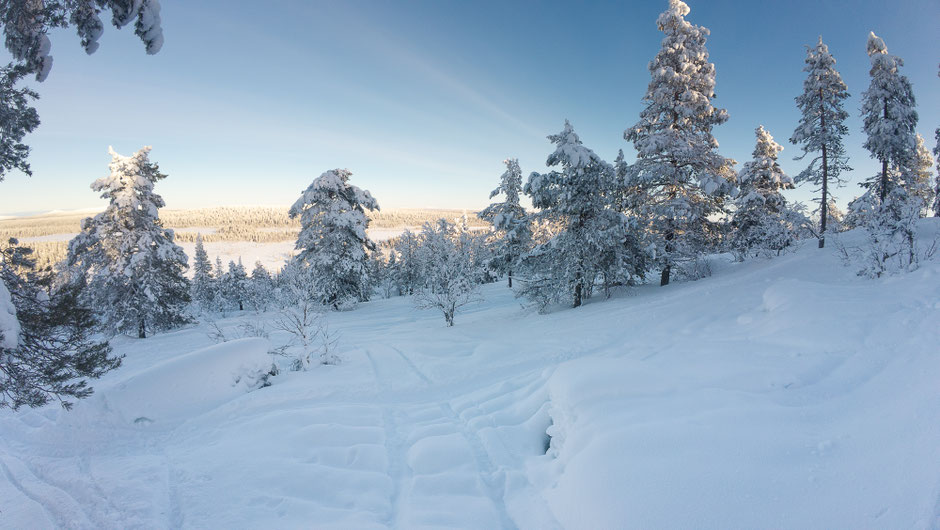 TOP 10 DES ACTIVITE A FAIRE EN LAPONIE/SKIER EN LAPONIE, INFOS ET CONSEILS. www.missaventure.com  roadtrip, outdoor adventures and photography.