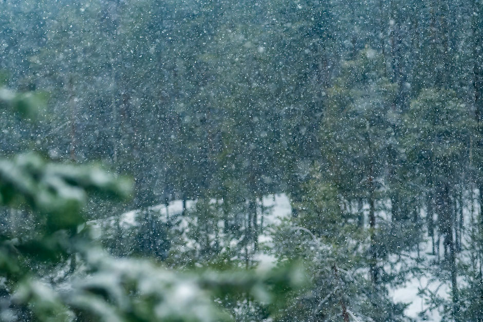 ROAD TRIP EN LAPONIE. 3 randos à faire à Ruka/Kuusamo et où se loger?. www.missaventure.com/ road-trip, nature et photographie