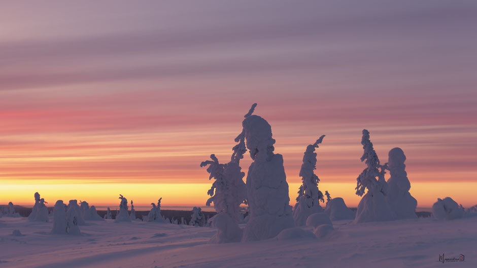 ROAD TRIP EN LAPONIE. Pourquoi partir en hiver?. Itinéraire, budget infos & aventures detaillées.
