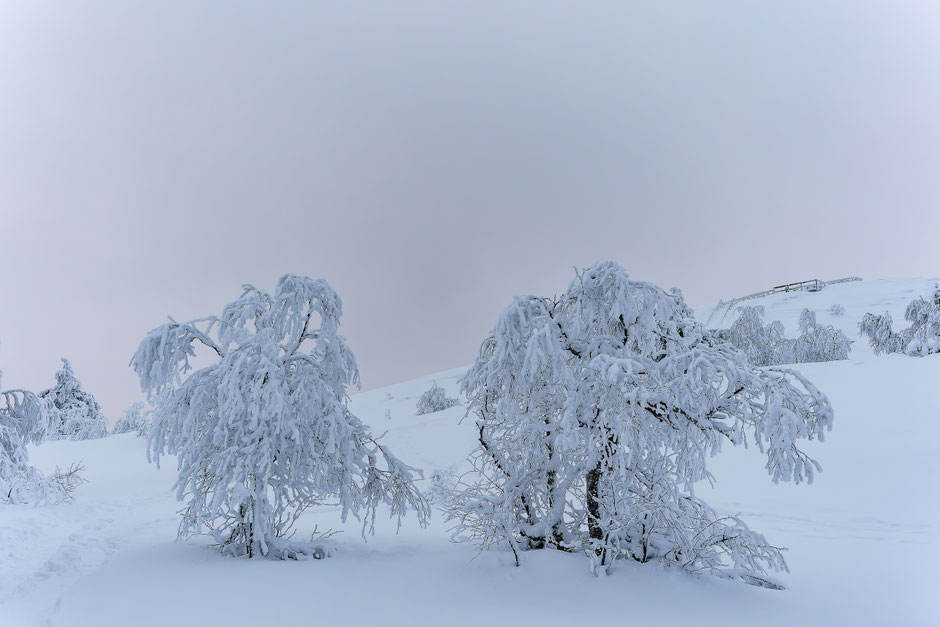 QUOI FAIRE A SALLA, EN LAPONIE, INFOS ET CONSEILS/TAIVAAN TAVOITTELIJAN. www.missaventure.com  roadtrip, nature, and photography.