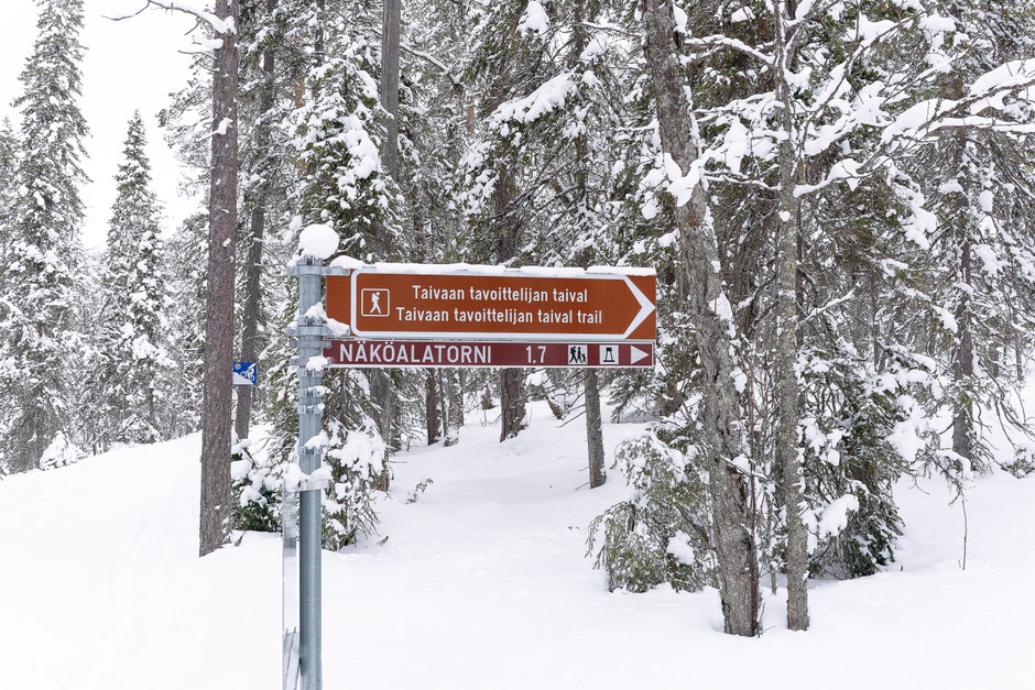 QUOI FAIRE A SALLA, EN LAPONIE, INFOS ET CONSEILS/TAIVAAN TAVOITTELIJAN. www.missaventure.com  roadtrip, nature, and photography.