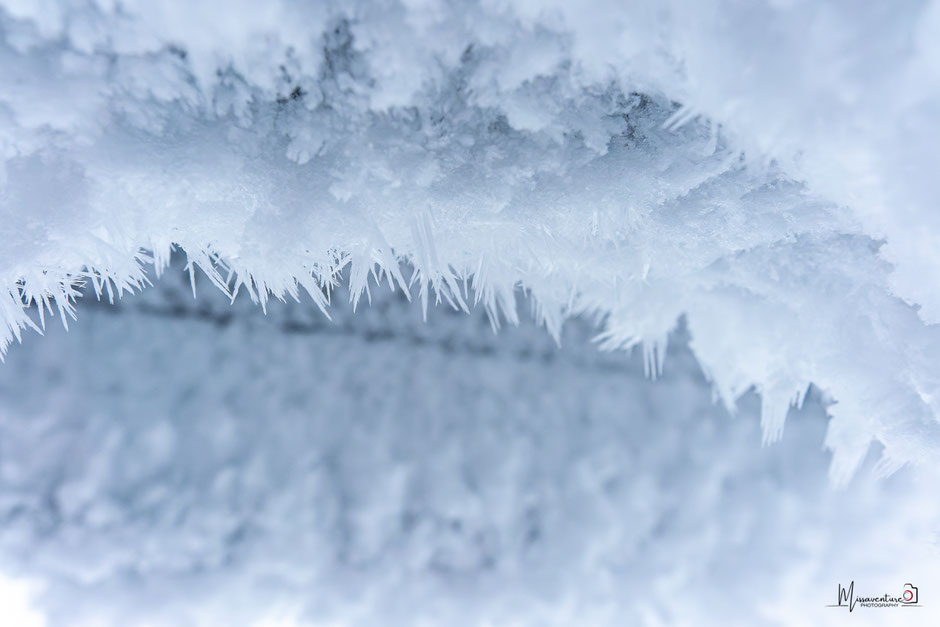 QUOI FAIRE A SALLA, EN LAPONIE, INFOS ET CONSEILS/TAIVAAN TAVOITTELIJAN. www.missaventure.com  roadtrip, nature, and photography.