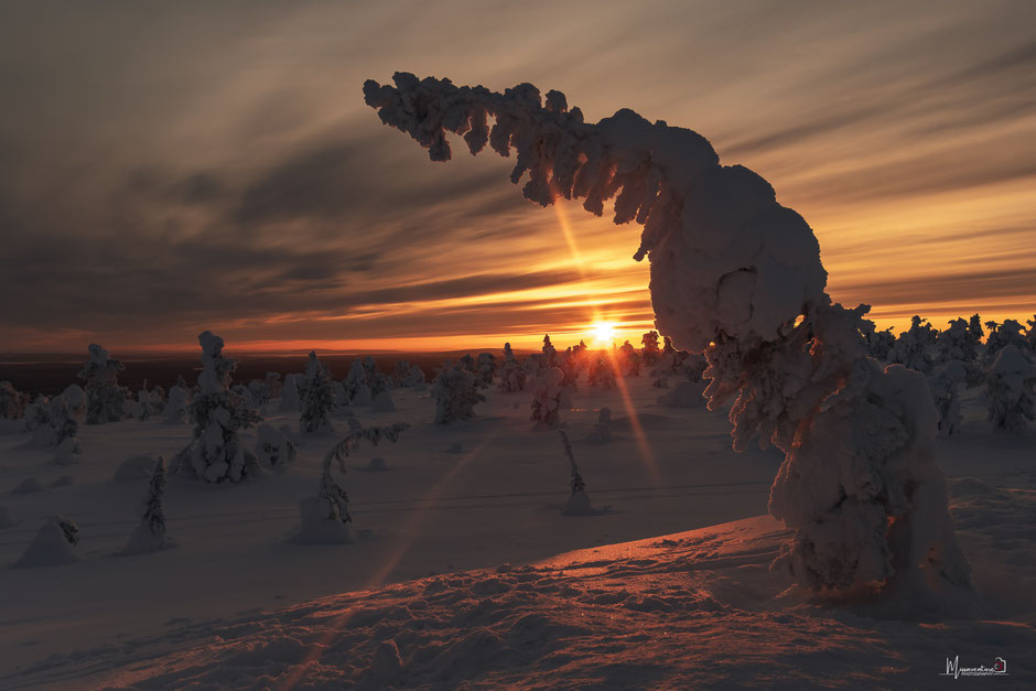 TOP 10 DES ACTIVITE A FAIRE EN LAPONIE/RANDONNER EN LAPONIE, INFOS ET CONSEILS. www.missaventure.com  roadtrip, outdoor adventures and photography.