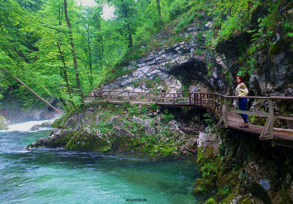 Visite des gorges de Vintgar, SLOVENIE. road trip en Slovenie;  www.missaventure.com blog voyage d'aventures, nature et photos