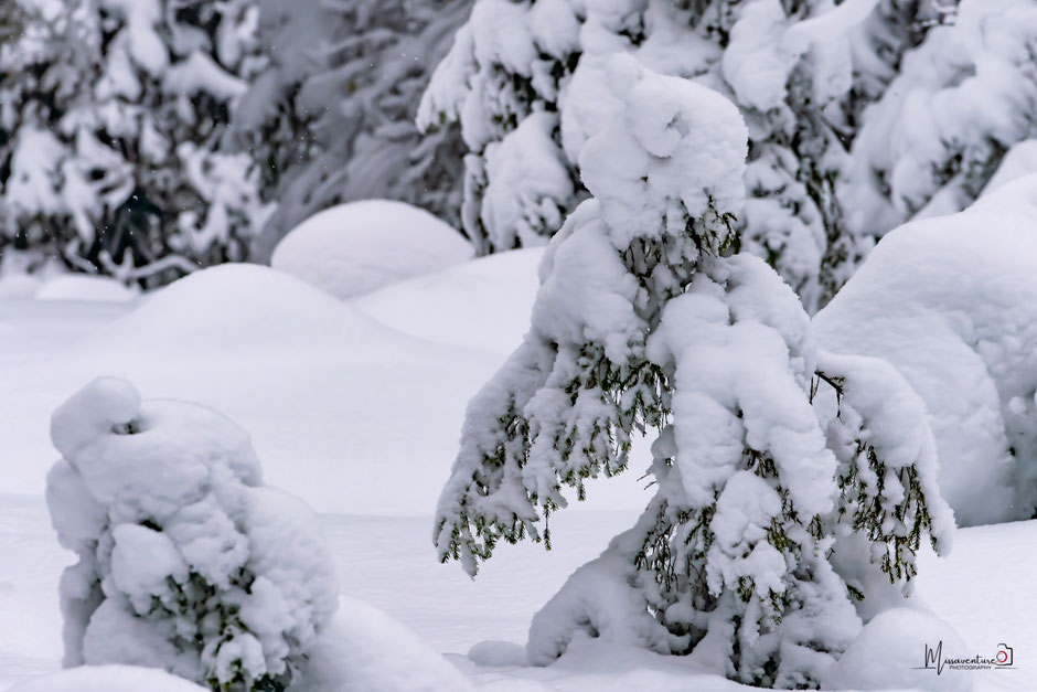 ROAD TRIP EN LAPONIE. 3 randos à faire à Ruka/Kuusamo et où se loger?. www.missaventure.com/ road-trip, nature et photographie