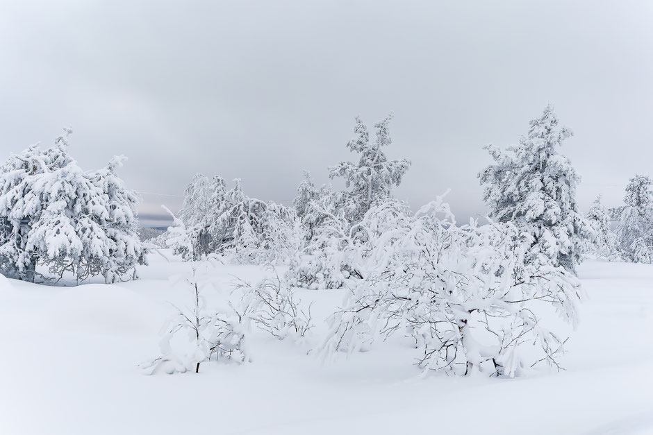 QUOI FAIRE A SALLA, EN LAPONIE, INFOS ET CONSEILS/SALLATUNTURI. www.missaventure.com  roadtrip, nature, and photography.